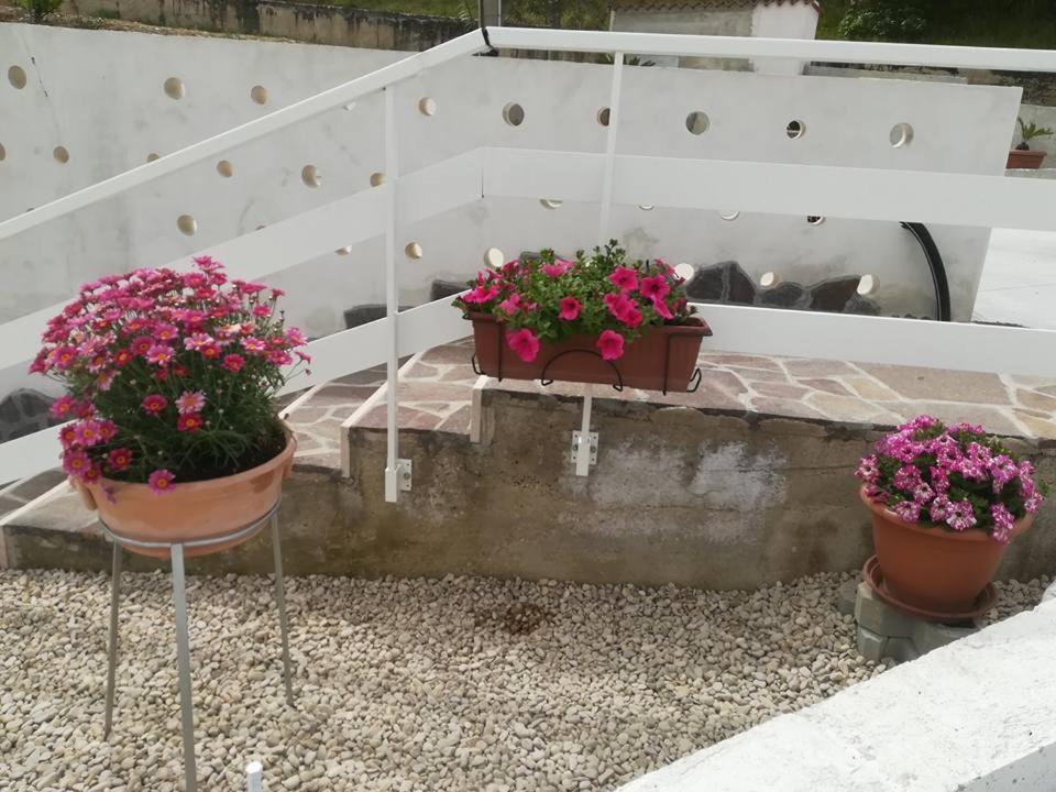 Angolo Di Paradiso Chieti Ngoại thất bức ảnh